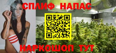 МДПВ Будённовск