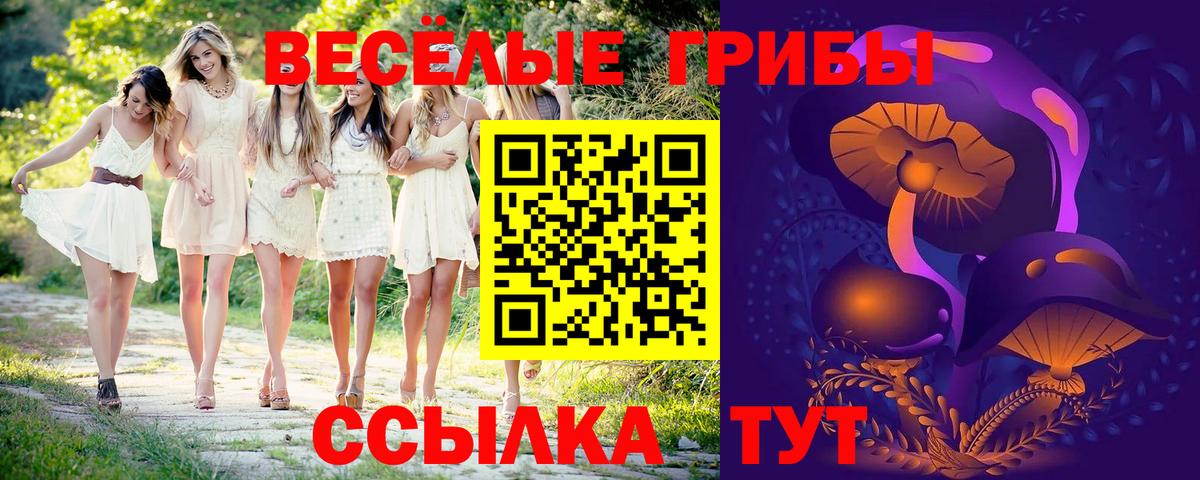 Галлюциногенные грибы Cubensis  Галлюциногенные грибы мухоморы  Вход с VPN  Салават 