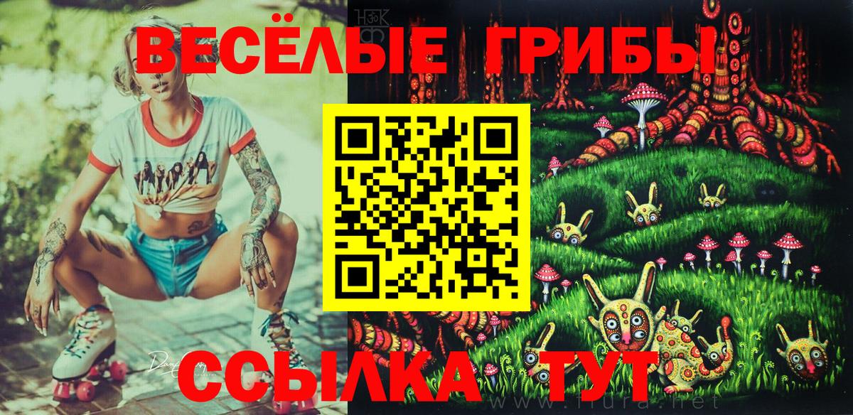 Галлюциногенные грибы Psilocybe Салават